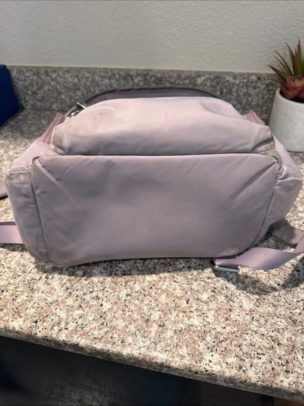 Tumi Voyageur Celina Backpack in Lavender/Liliac
